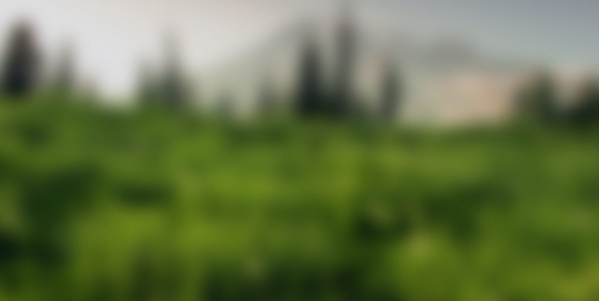 Slider Image 04